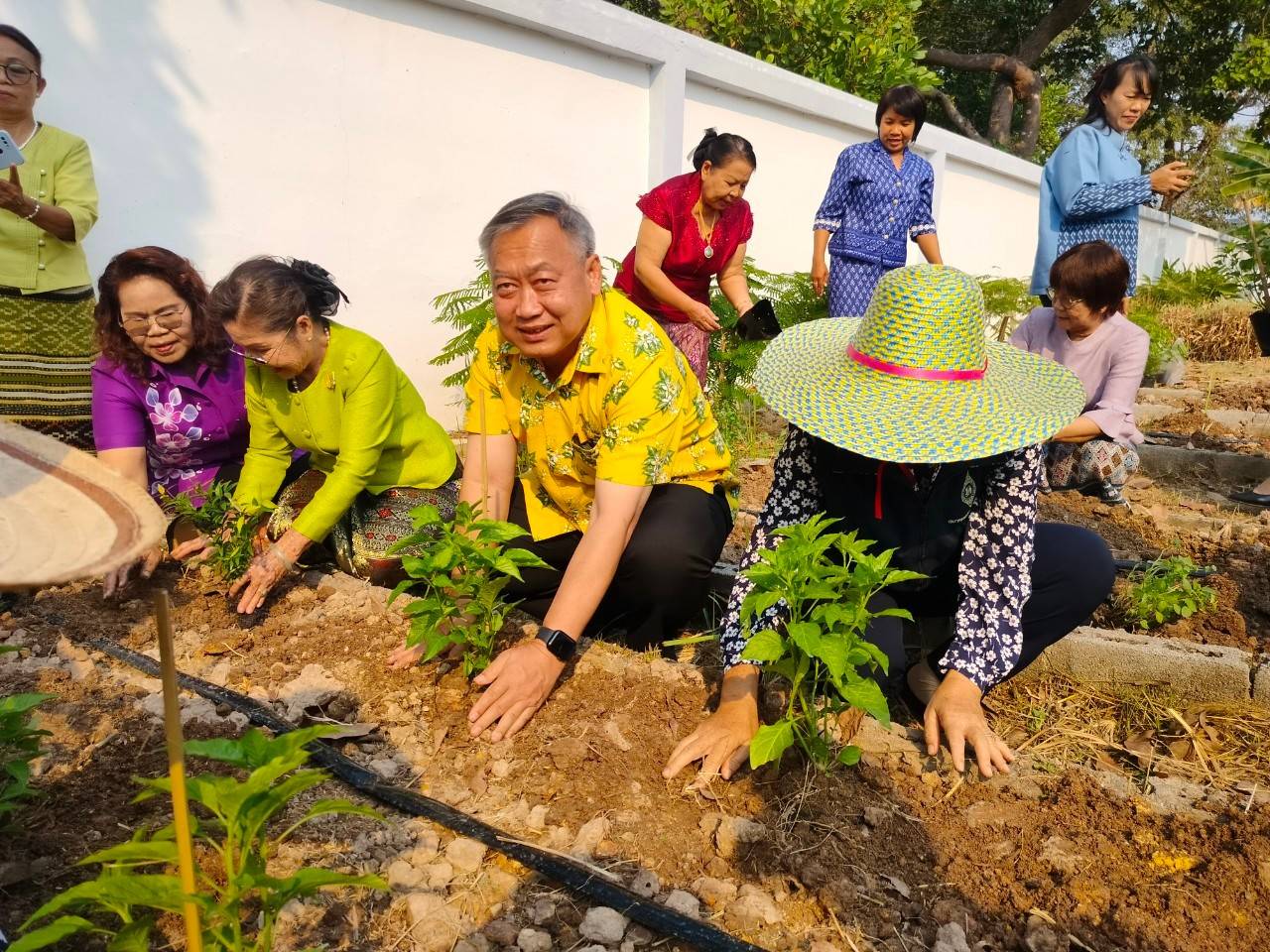 พช.ปราจีนบุรี ดำเนินกิจกรรมผู้นำต้องทำก่อน เปิดจวนผู้ว่าฯน้อมนำแนวพระราชดำริฯ ขยายผลสร้างความมั่นคงทางอาหาร “บ้านนี้มีรัก ปลูกผักกินเอง”