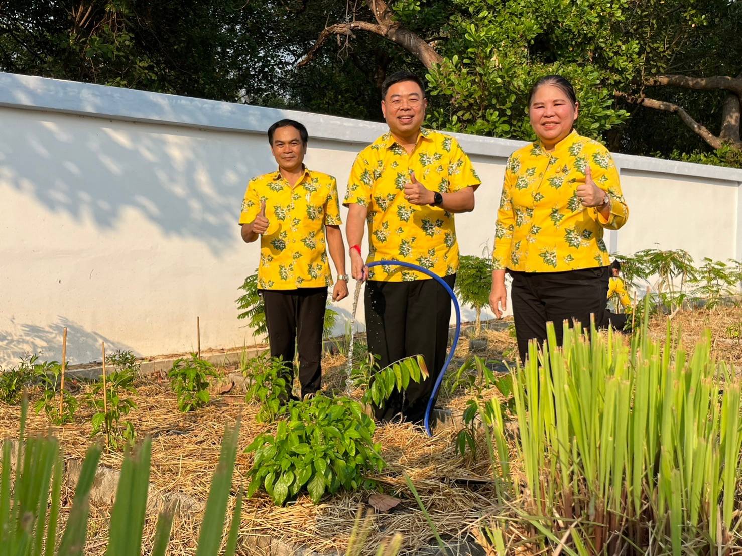 พช.ปราจีนบุรี ดำเนินกิจกรรมผู้นำต้องทำก่อน เปิดจวนผู้ว่าฯน้อมนำแนวพระราชดำริฯ ขยายผลสร้างความมั่นคงทางอาหาร “บ้านนี้มีรัก ปลูกผักกินเอง”