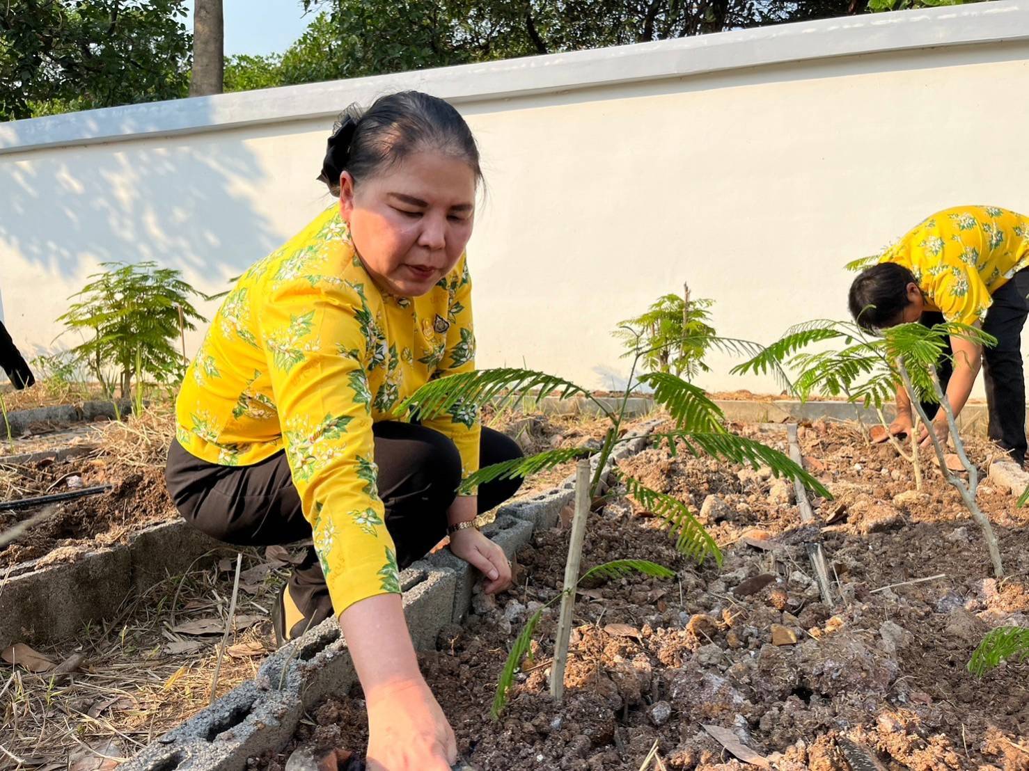 พช.ปราจีนบุรี ดำเนินกิจกรรมผู้นำต้องทำก่อน เปิดจวนผู้ว่าฯน้อมนำแนวพระราชดำริฯ ขยายผลสร้างความมั่นคงทางอาหาร “บ้านนี้มีรัก ปลูกผักกินเอง”