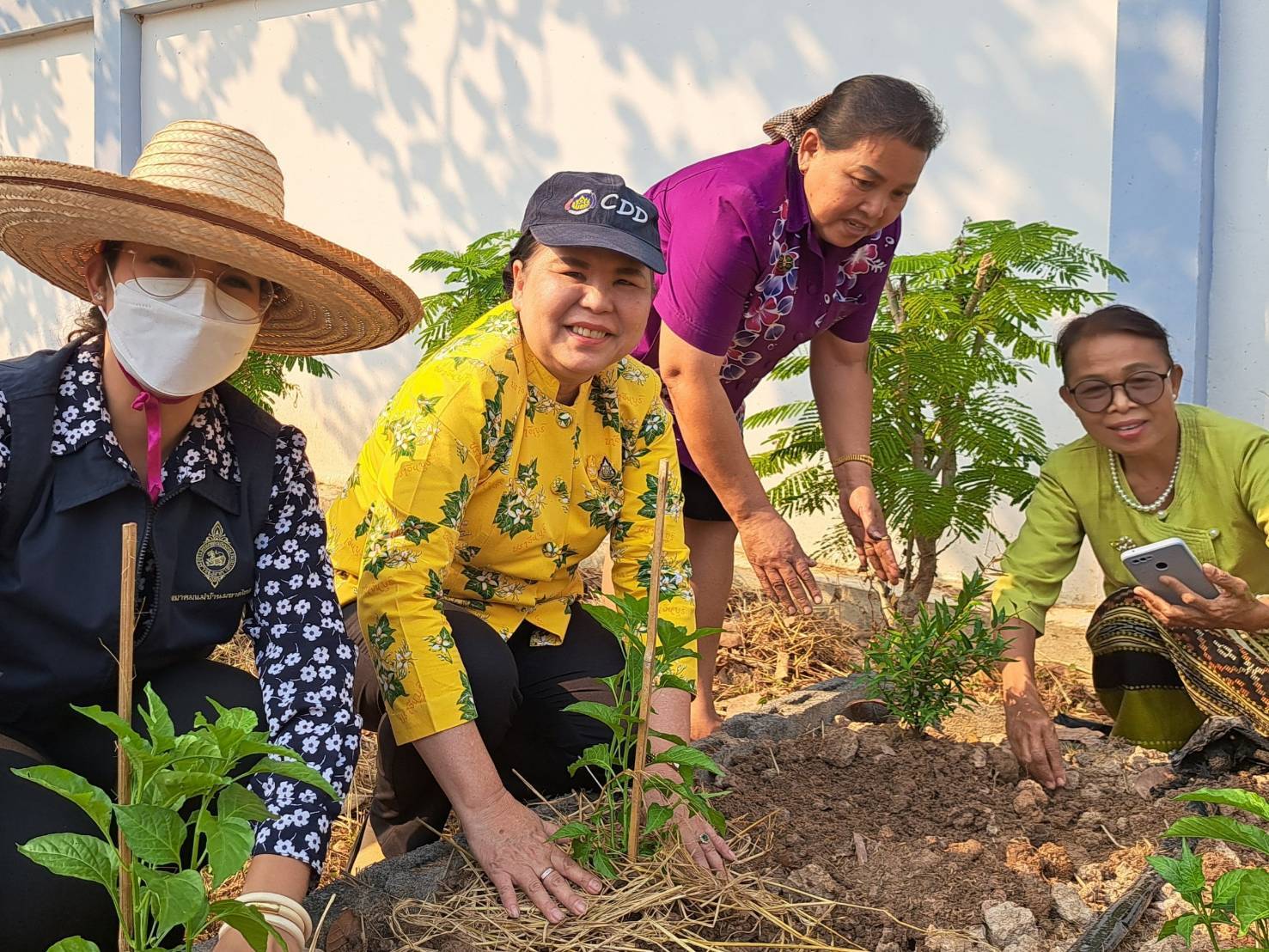 พช.ปราจีนบุรี ดำเนินกิจกรรมผู้นำต้องทำก่อน เปิดจวนผู้ว่าฯน้อมนำแนวพระราชดำริฯ ขยายผลสร้างความมั่นคงทางอาหาร “บ้านนี้มีรัก ปลูกผักกินเอง”