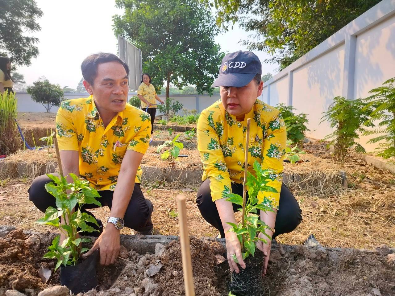 พช.ปราจีนบุรี ดำเนินกิจกรรมผู้นำต้องทำก่อน เปิดจวนผู้ว่าฯน้อมนำแนวพระราชดำริฯ ขยายผลสร้างความมั่นคงทางอาหาร “บ้านนี้มีรัก ปลูกผักกินเอง”