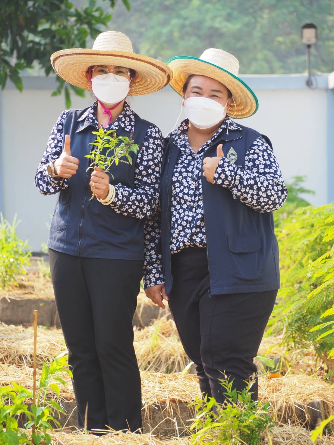 พช.ปราจีนบุรี ดำเนินกิจกรรมผู้นำต้องทำก่อน เปิดจวนผู้ว่าฯน้อมนำแนวพระราชดำริฯ ขยายผลสร้างความมั่นคงทางอาหาร “บ้านนี้มีรัก ปลูกผักกินเอง”