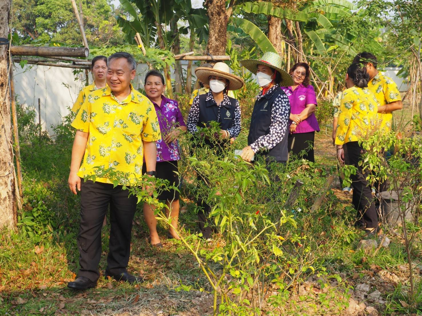 พช.ปราจีนบุรี ดำเนินกิจกรรมผู้นำต้องทำก่อน เปิดจวนผู้ว่าฯน้อมนำแนวพระราชดำริฯ ขยายผลสร้างความมั่นคงทางอาหาร “บ้านนี้มีรัก ปลูกผักกินเอง”