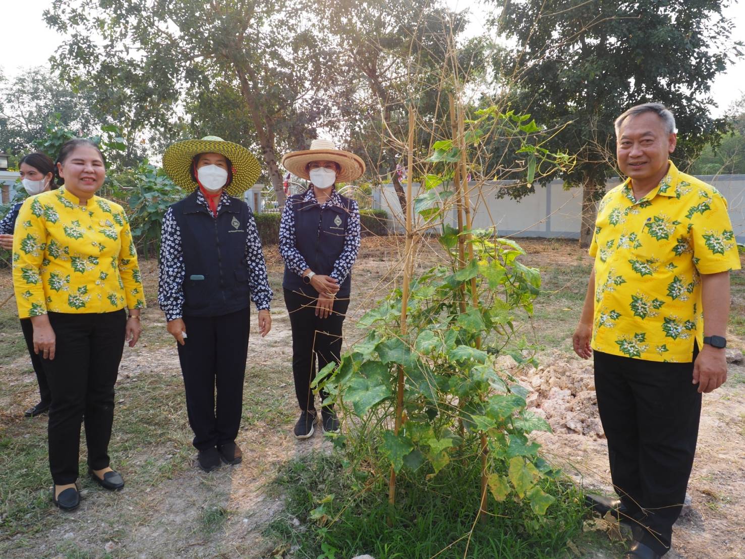 พช.ปราจีนบุรี ดำเนินกิจกรรมผู้นำต้องทำก่อน เปิดจวนผู้ว่าฯน้อมนำแนวพระราชดำริฯ ขยายผลสร้างความมั่นคงทางอาหาร “บ้านนี้มีรัก ปลูกผักกินเอง”